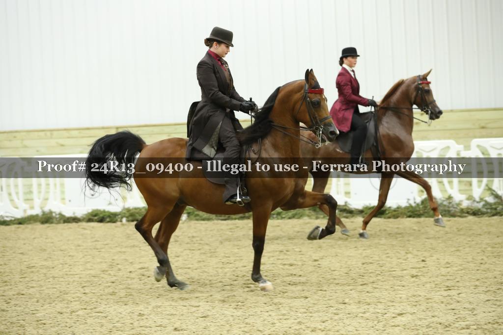 Proof 24R13_09400