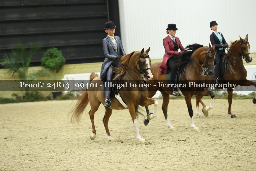 Proof 24R13_09401