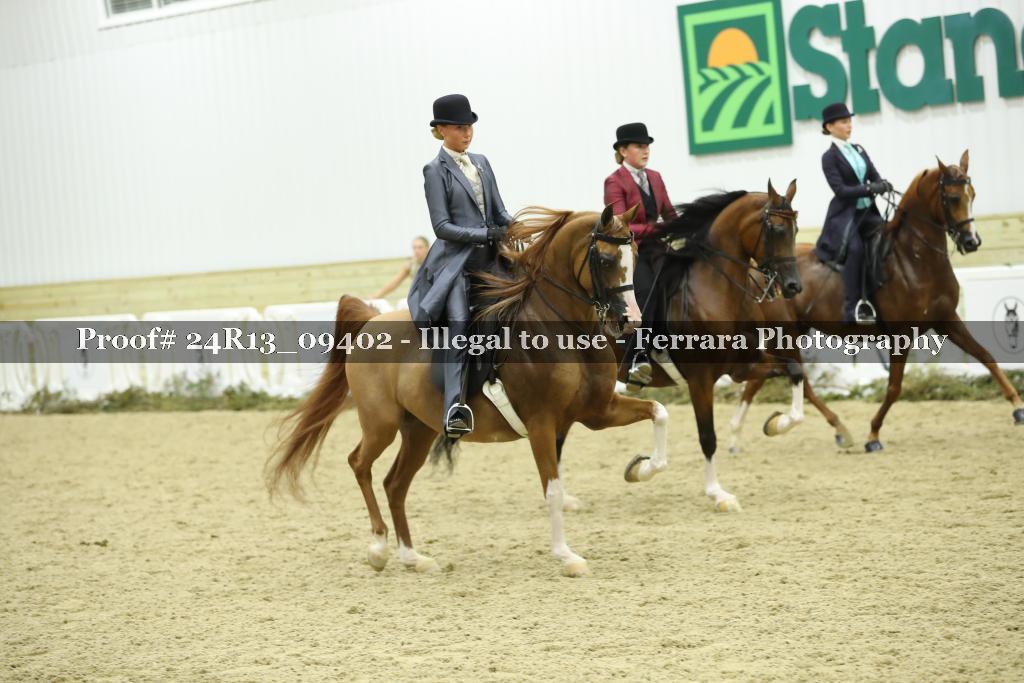 Proof 24R13_09402