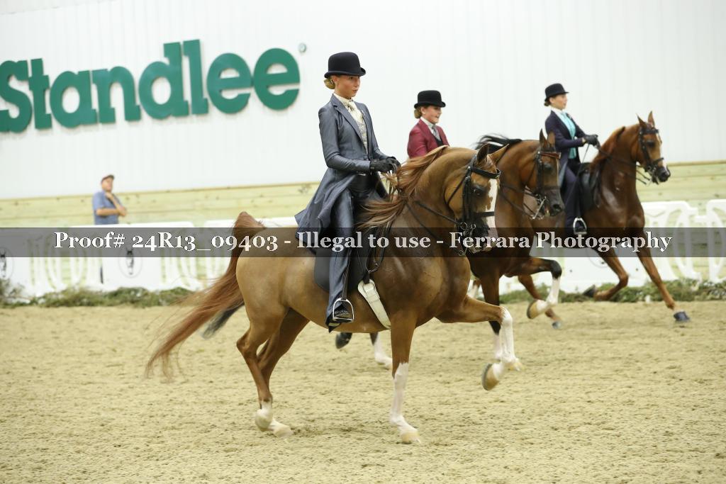 Proof 24R13_09403