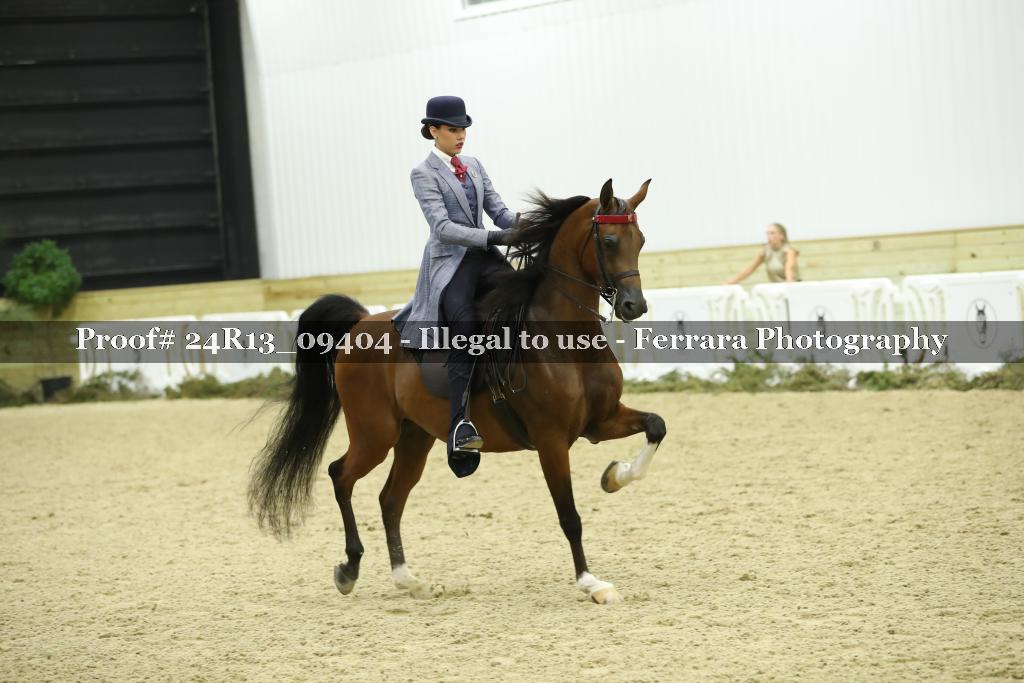Proof 24R13_09404