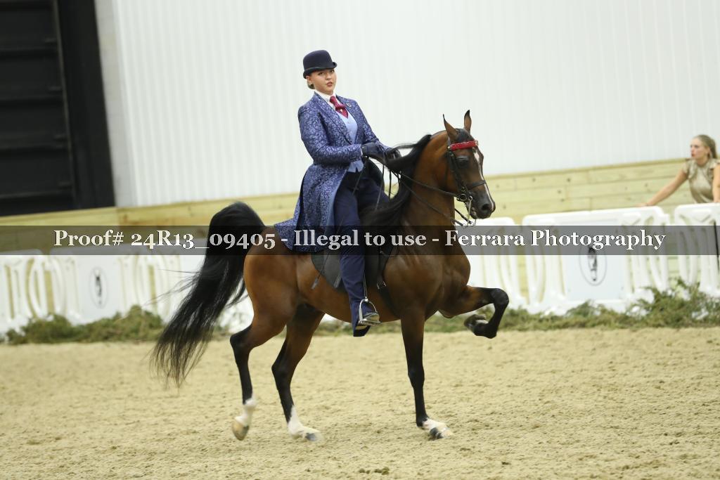Proof 24R13_09405