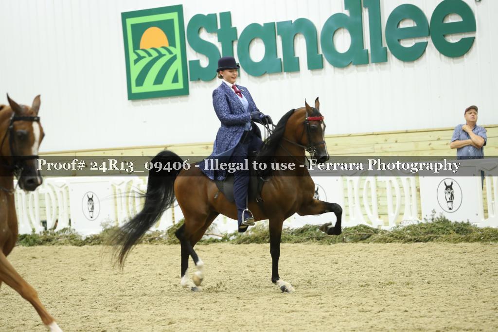 Proof 24R13_09406
