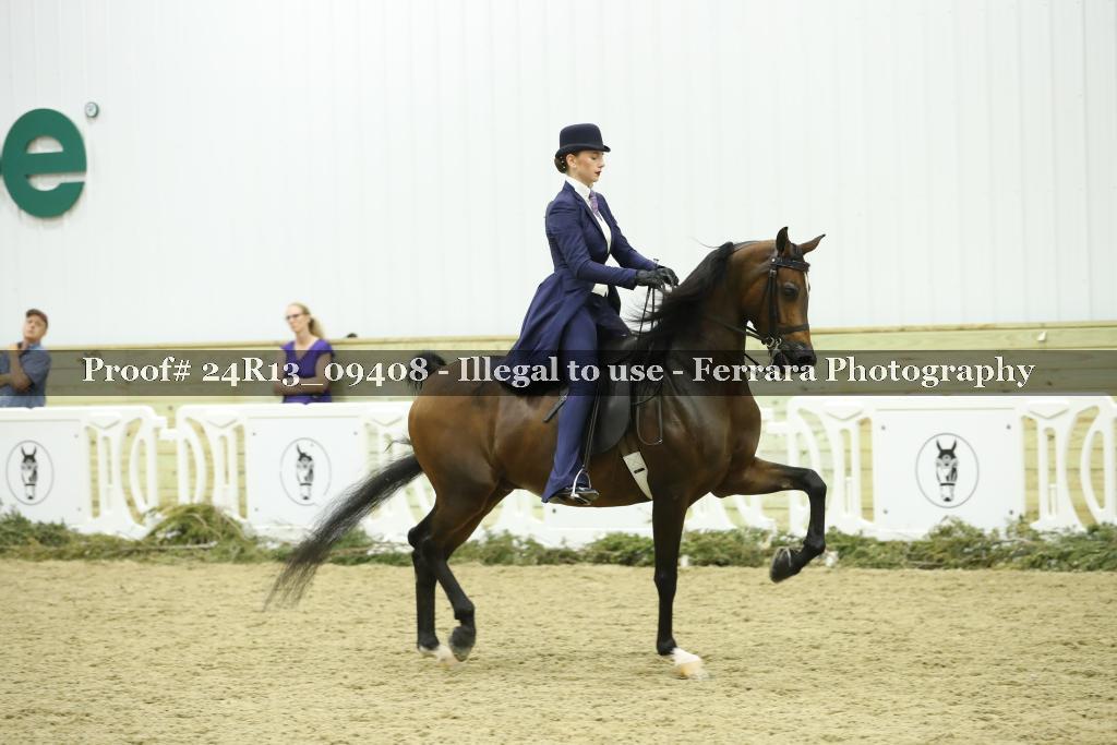 Proof 24R13_09408