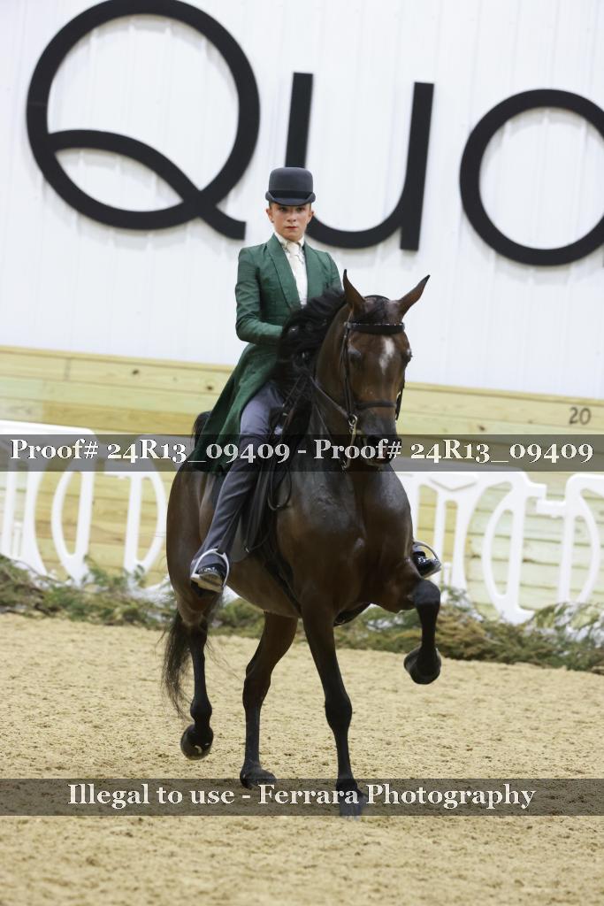 Proof 24R13_09409