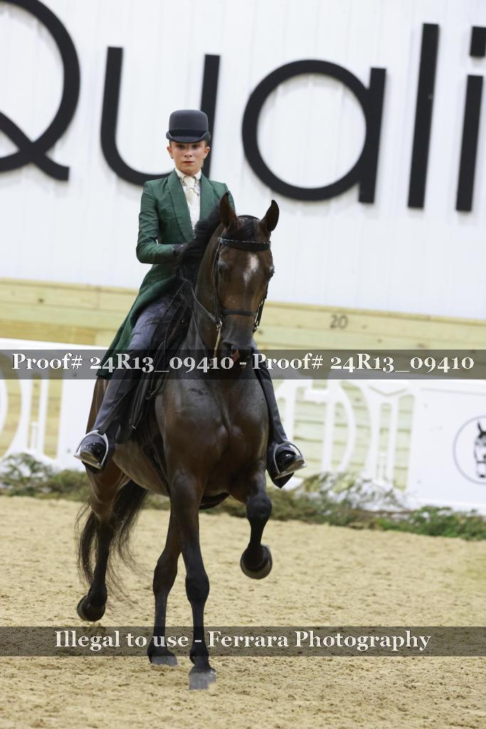 Proof 24R13_09410
