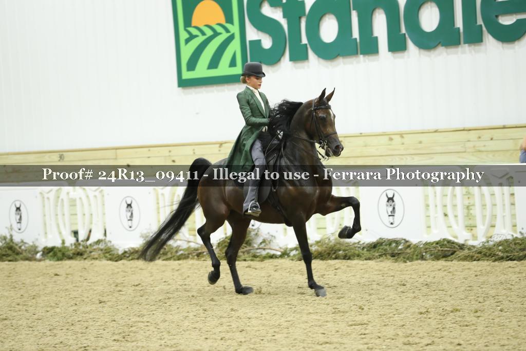 Proof 24R13_09411