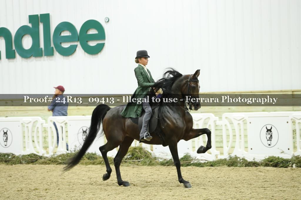 Proof 24R13_09413