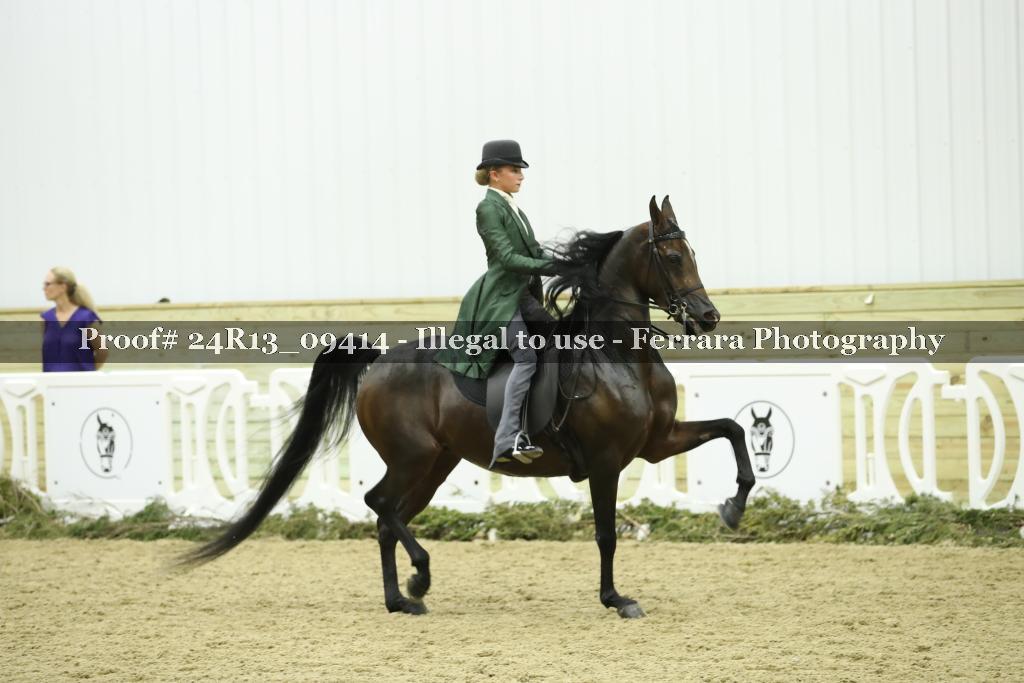 Proof 24R13_09414