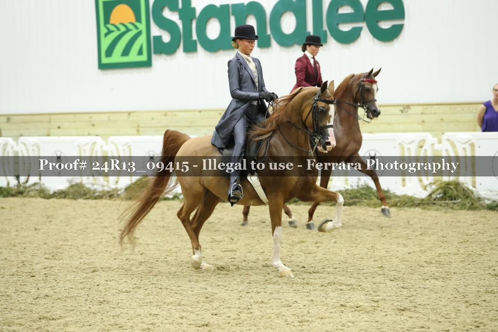 Proof 24R13_09415
