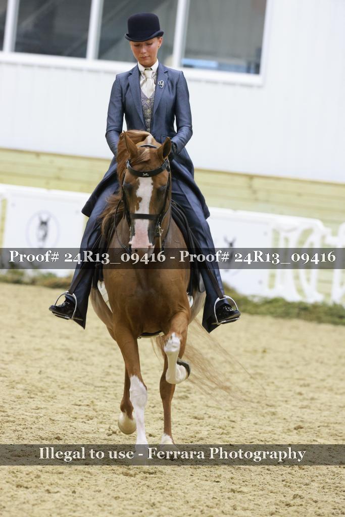 Proof 24R13_09416