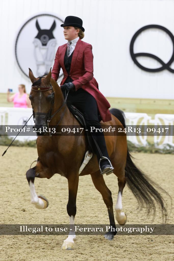 Proof 24R13_09417