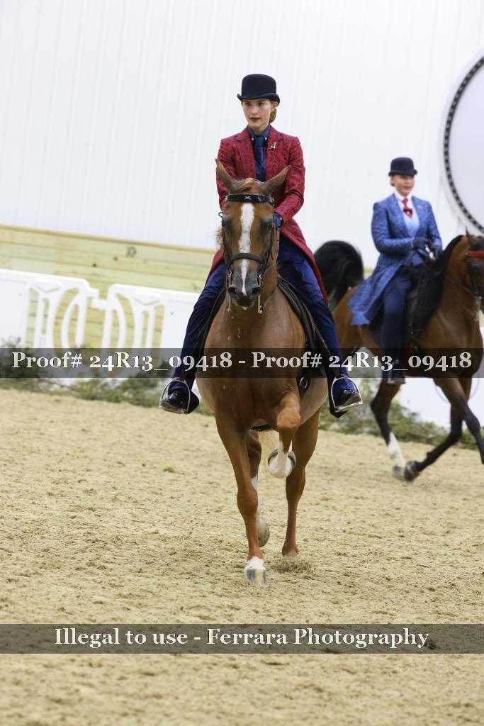 Proof 24R13_09418
