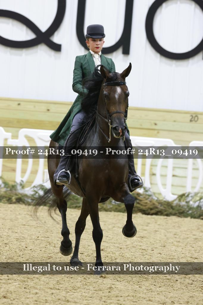 Proof 24R13_09419
