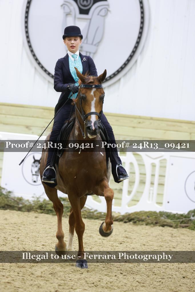 Proof 24R13_09421