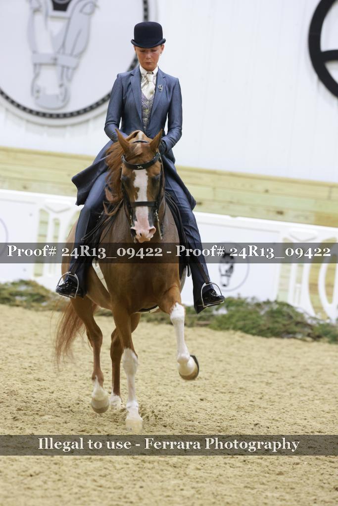 Proof 24R13_09422