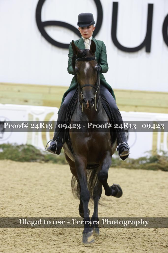 Proof 24R13_09423