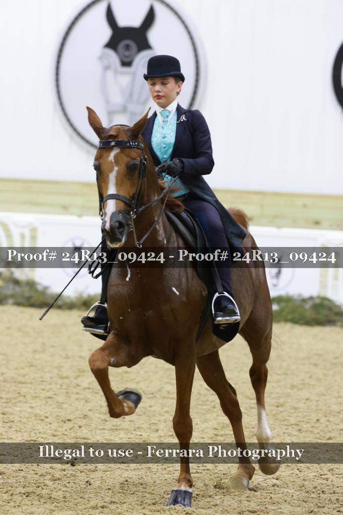 Proof 24R13_09424