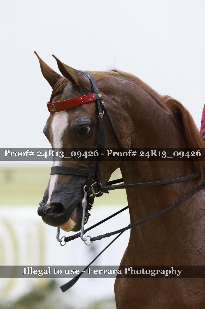 Proof 24R13_09426