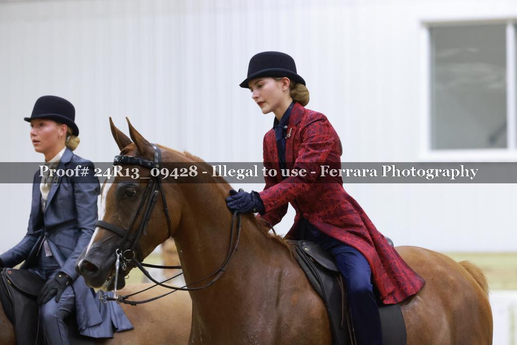 Proof 24R13_09428