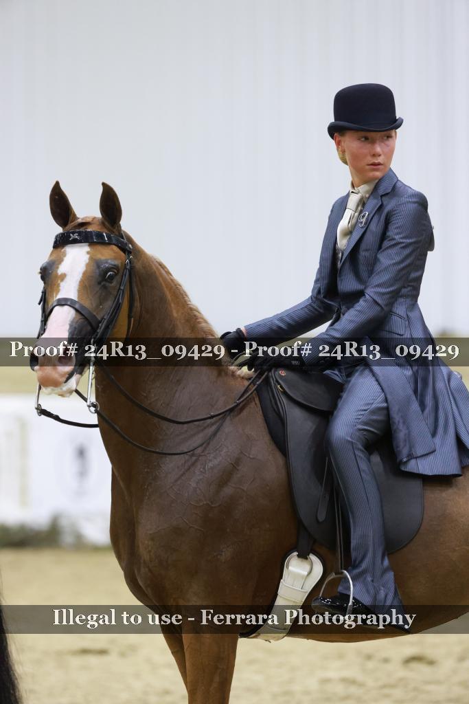 Proof 24R13_09429