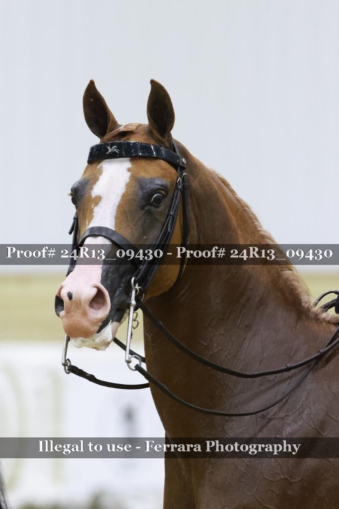 Proof 24R13_09430