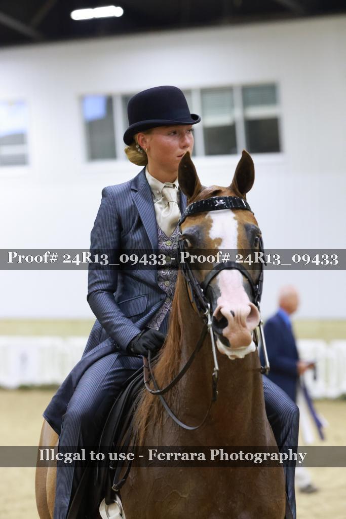 Proof 24R13_09433
