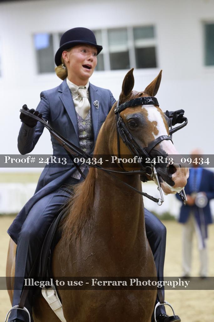 Proof 24R13_09434