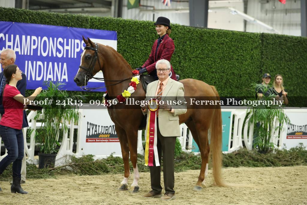 Proof 24R13_09436