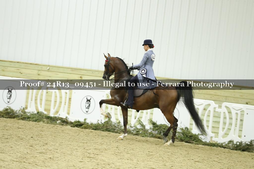 Proof 24R13_09451
