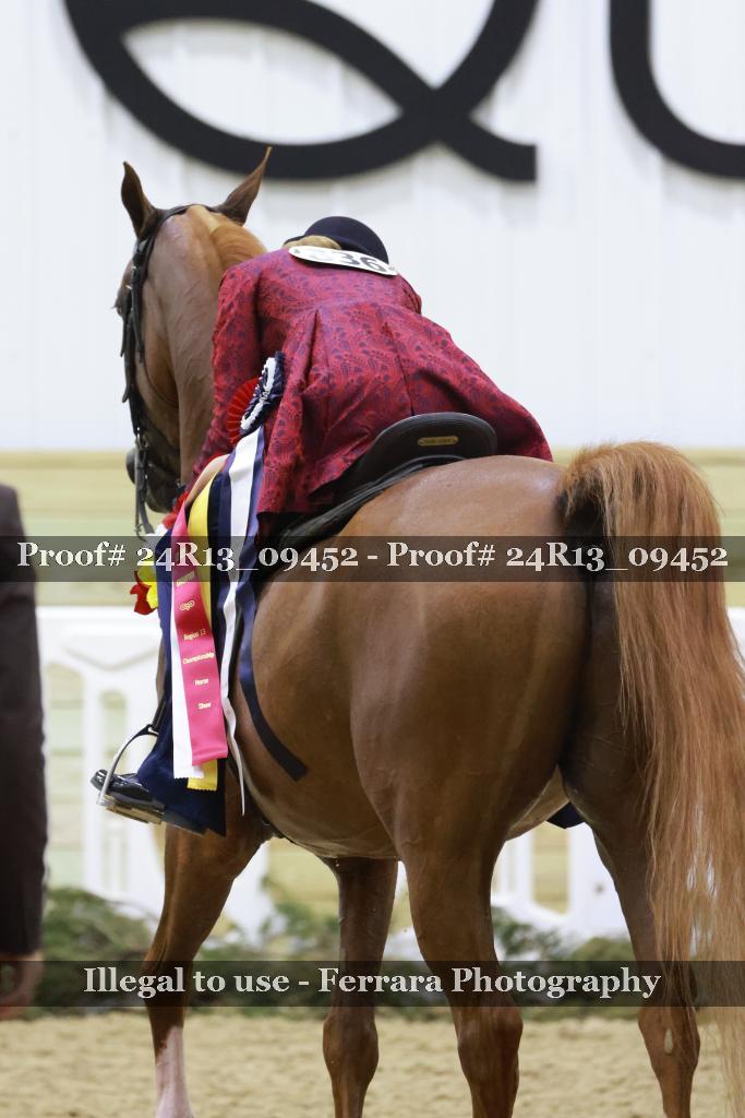 Proof 24R13_09452