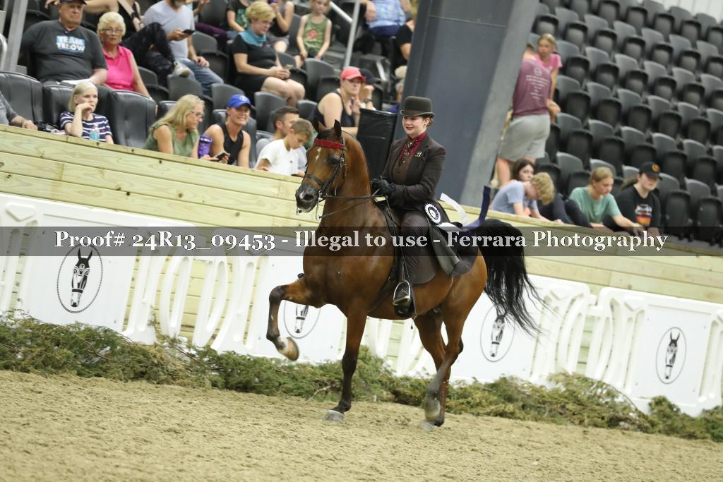 Proof 24R13_09453