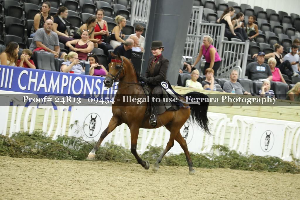 Proof 24R13_09454