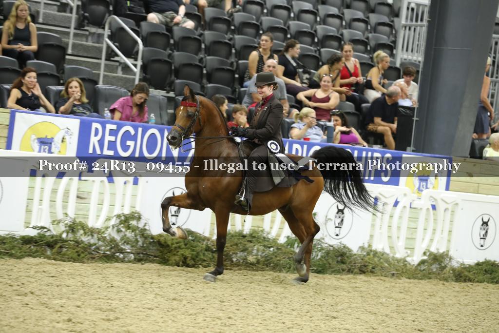 Proof 24R13_09455