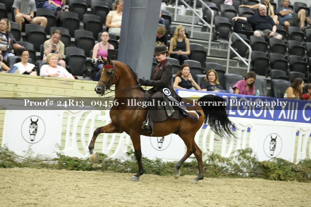 Proof 24R13_09456