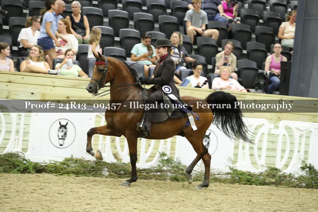 Proof 24R13_09457