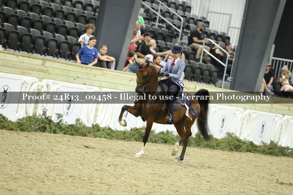 Proof 24R13_09458