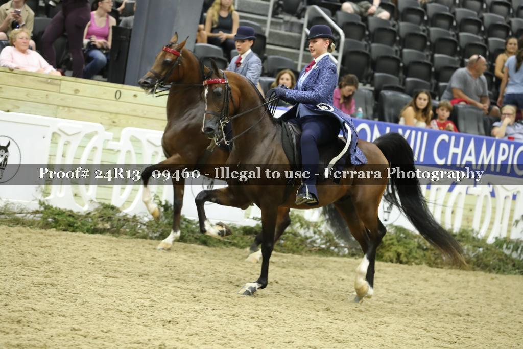 Proof 24R13_09460