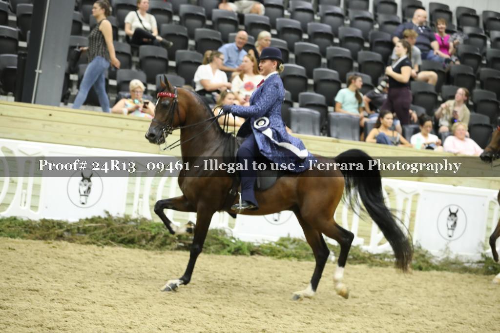 Proof 24R13_09461