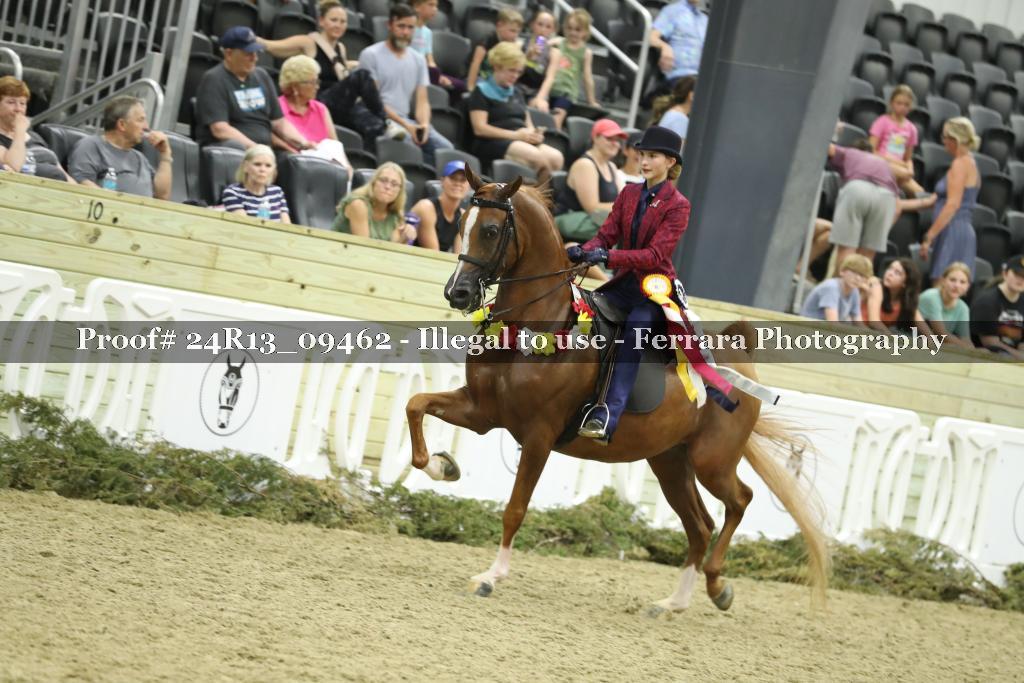 Proof 24R13_09462