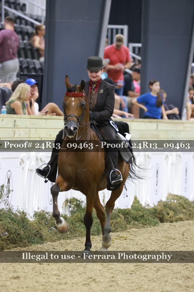 Proof 24R13_09463