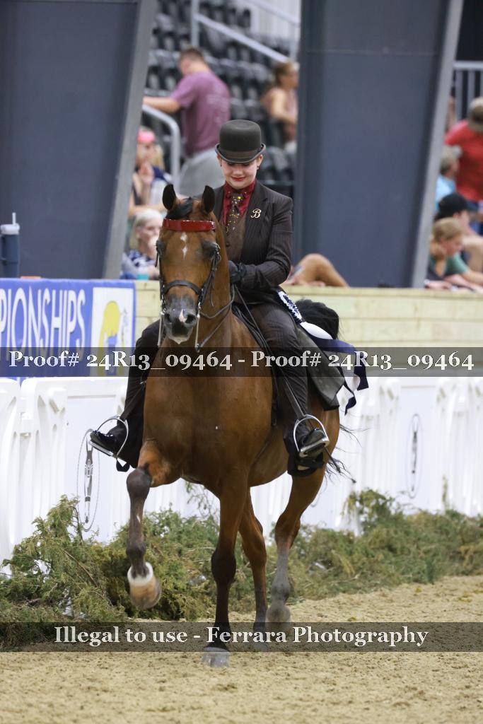 Proof 24R13_09464