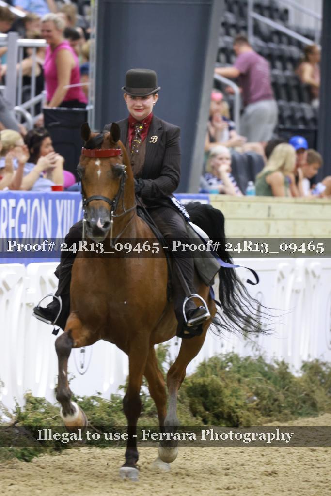 Proof 24R13_09465