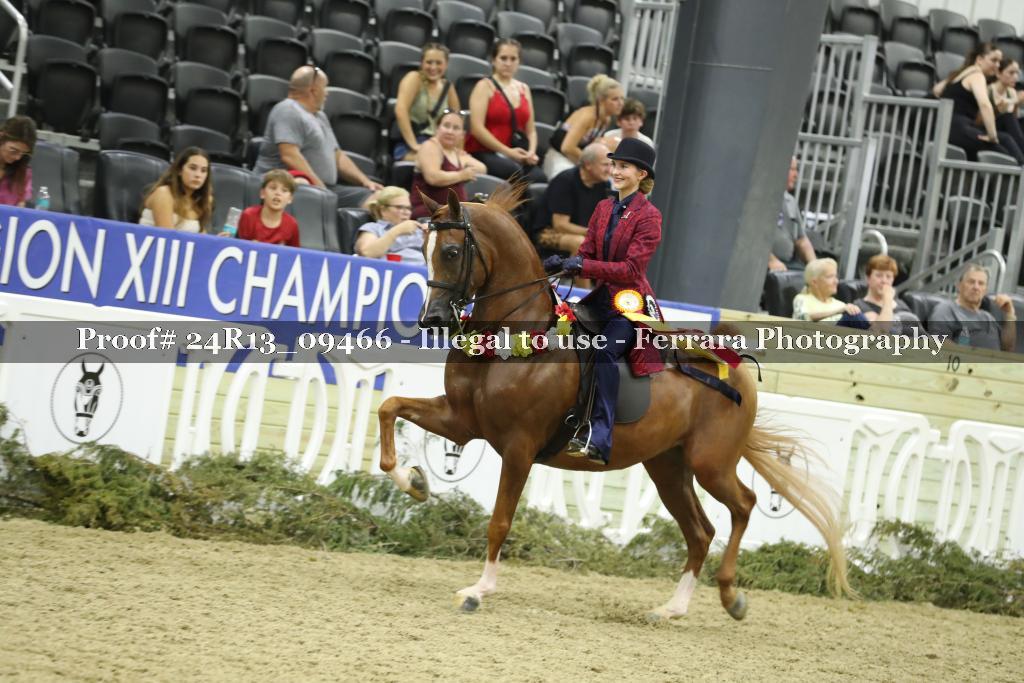 Proof 24R13_09466