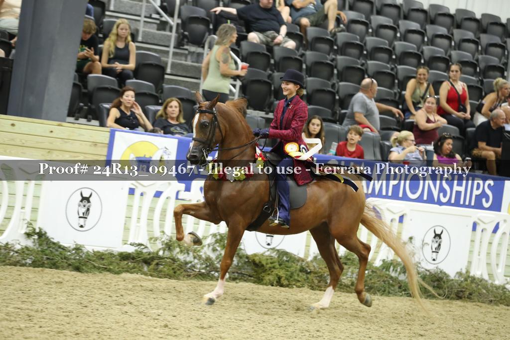 Proof 24R13_09467
