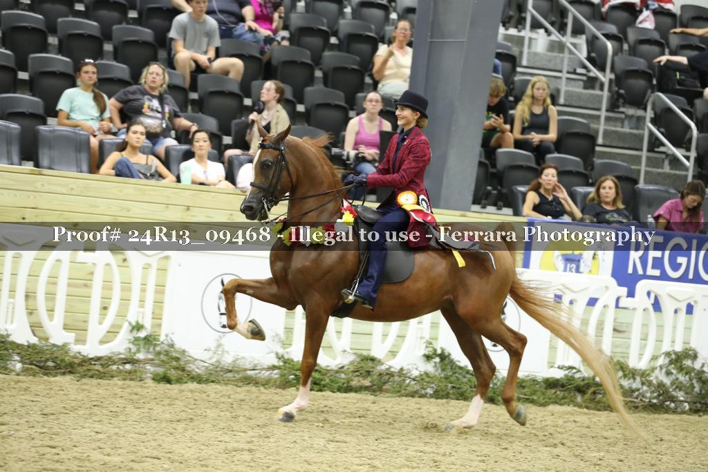 Proof 24R13_09468