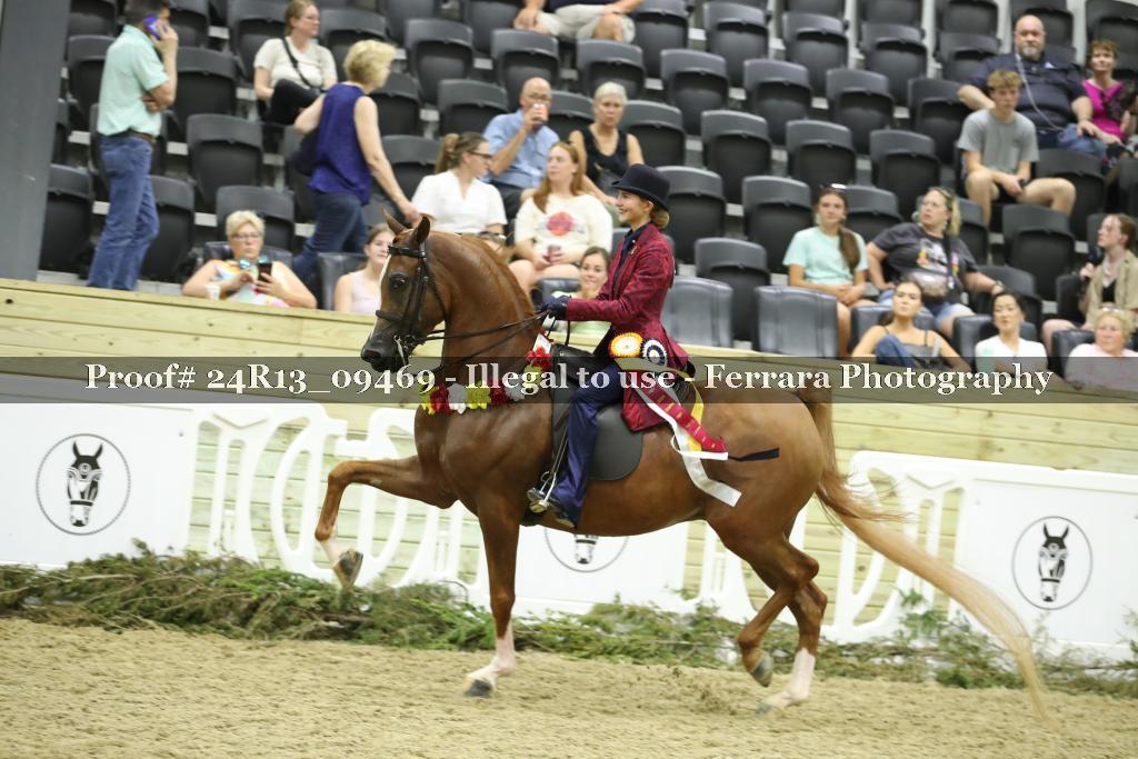 Proof 24R13_09469