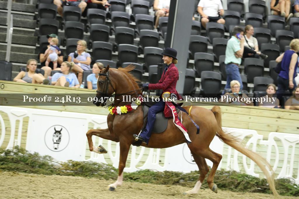Proof 24R13_09470