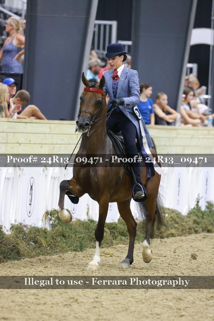 Proof 24R13_09471