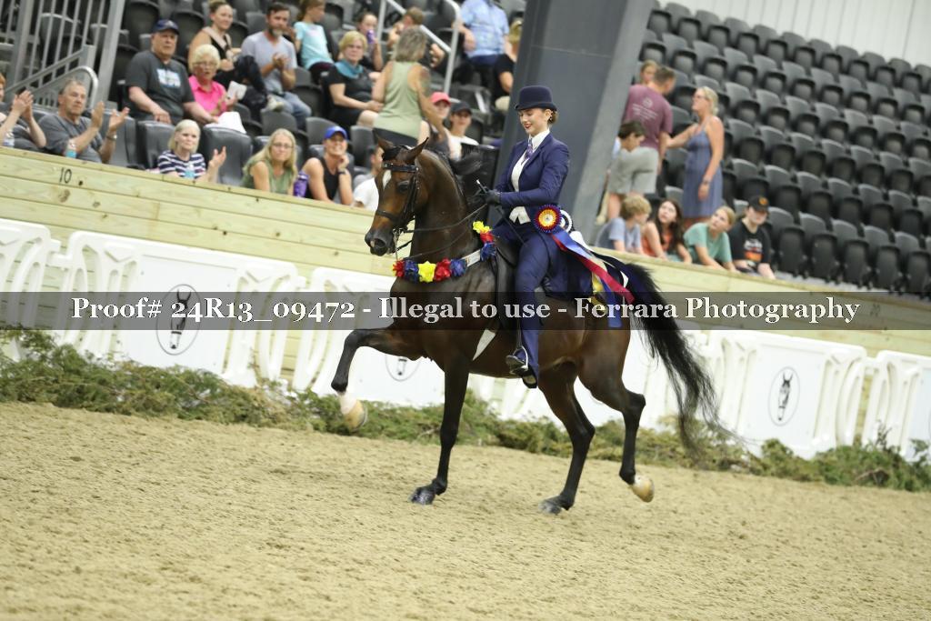 Proof 24R13_09472